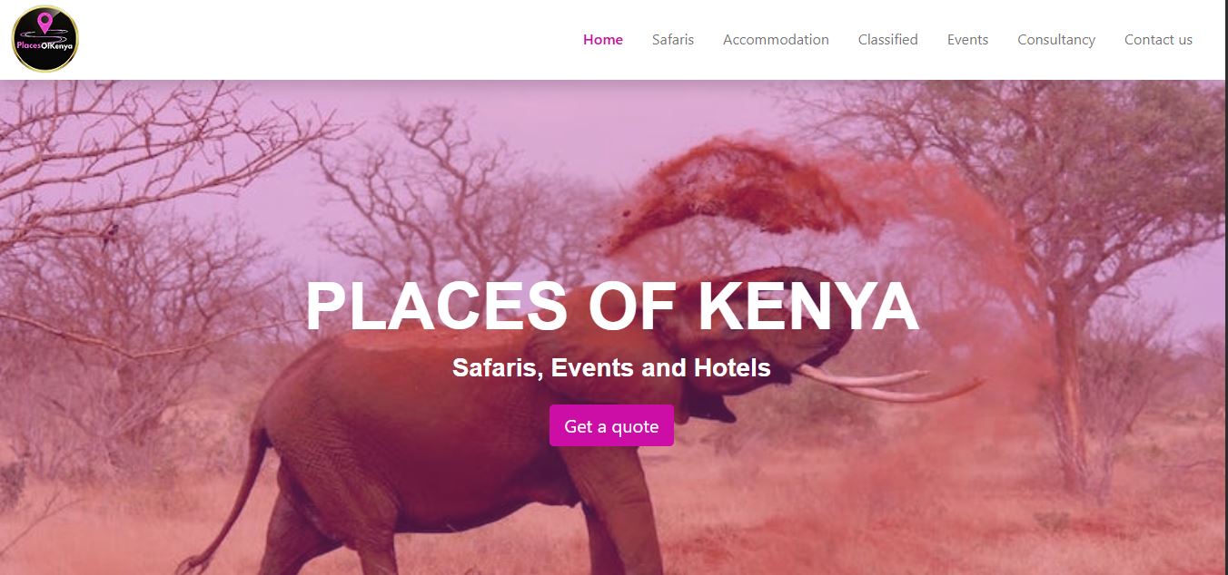 A computer screen showing a website preview